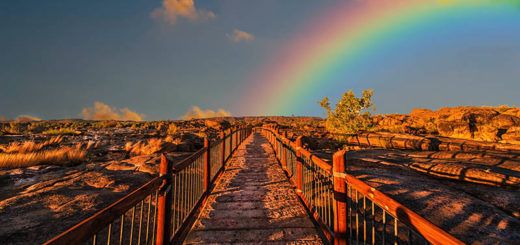 camino que lleva a un arcoíris